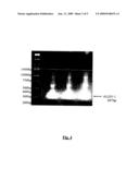 PROTEIN-BASED STREPTOCOCCUS PNEUMONIAE VACCINES diagram and image