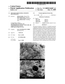 MOLDABLE BIOMATERIAL FOR BONE REGENERATION diagram and image