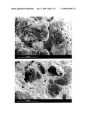 MOLDABLE BIOMATERIAL FOR BONE REGENERATION diagram and image