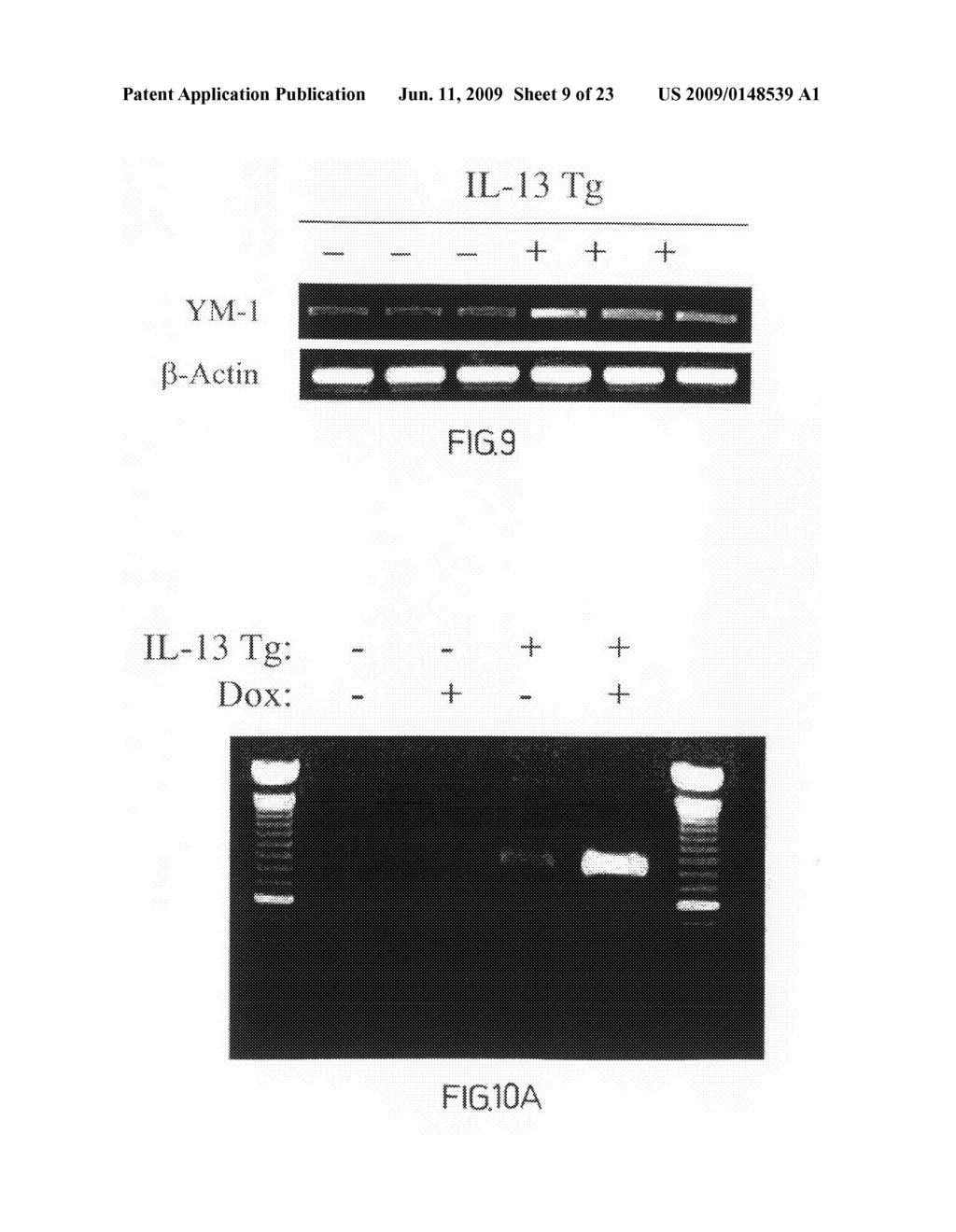 Methods, compositions, and kits relating to chitinases and chitinase-like molecules and inflammatory disease - diagram, schematic, and image 10