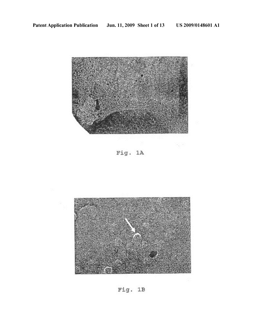 NANOLOOM FOR CONTROLLING POLYMER ASSEMBLY - diagram, schematic, and image 02