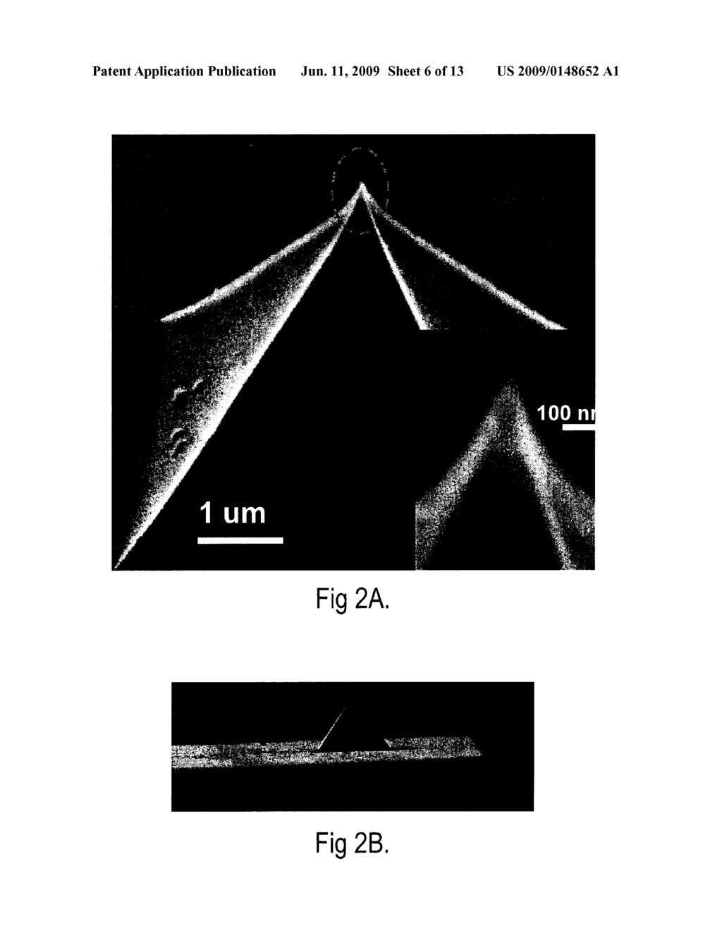 Diamond Film Deposition and Probes - diagram, schematic, and image 07