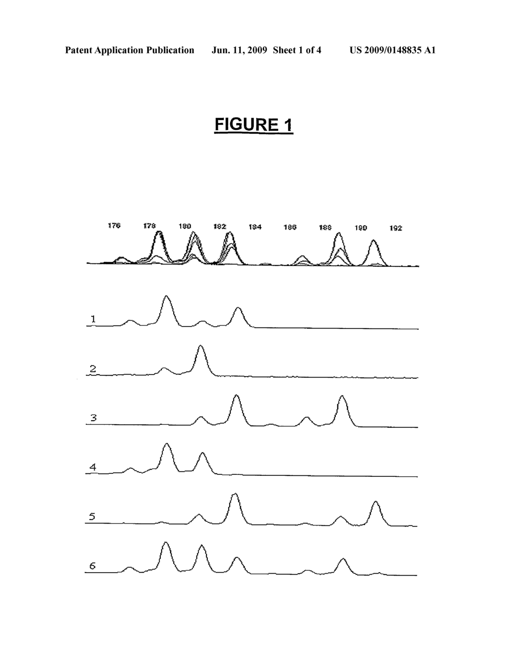 METHOD FOR IDENTIFYING THE ORIGIN OF A COMPOUND BIOLOGICAL PRODUCT - diagram, schematic, and image 02