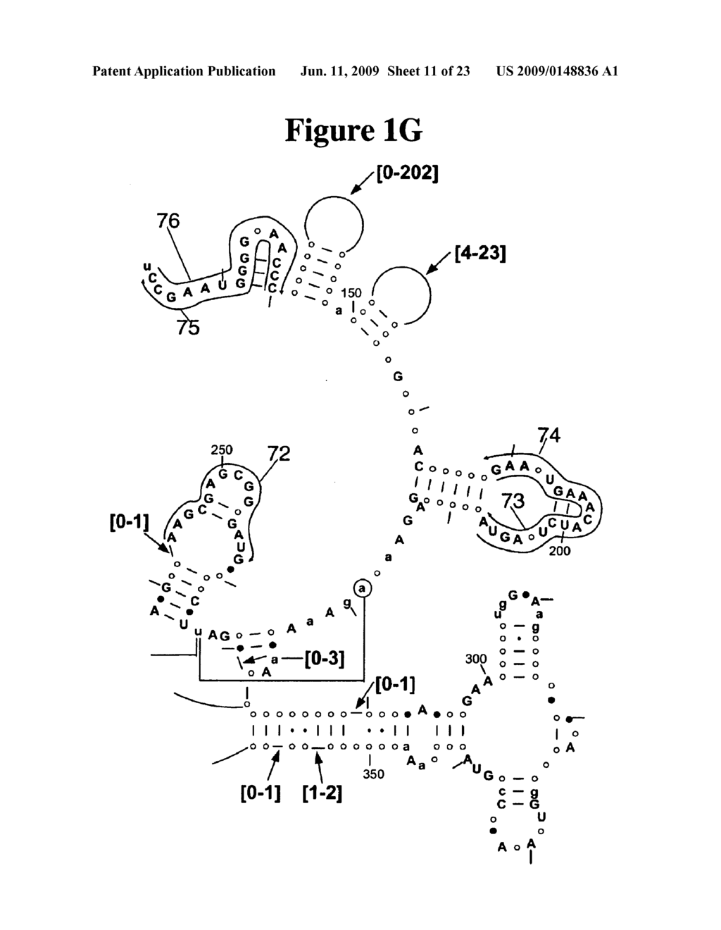 Method for Rapid Detection and Identification of Bioagents - diagram, schematic, and image 12