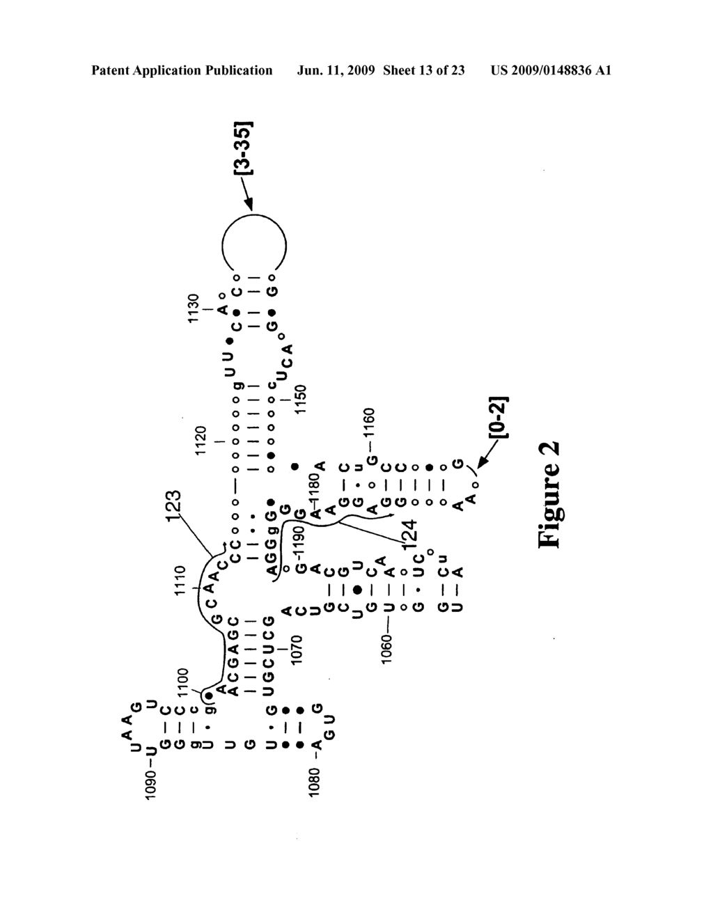 Method for Rapid Detection and Identification of Bioagents - diagram, schematic, and image 14