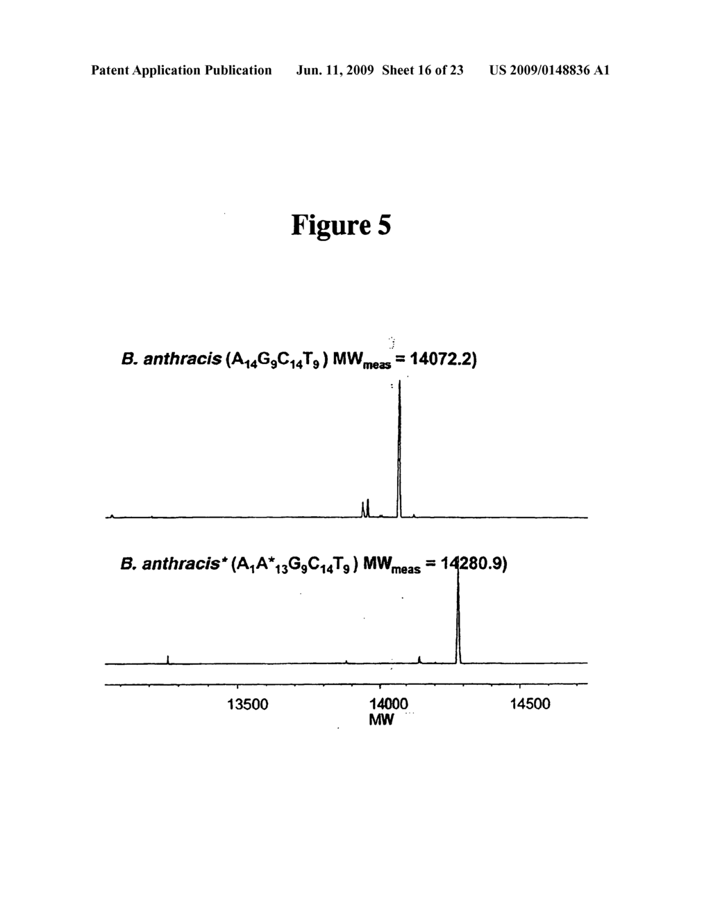 Method for Rapid Detection and Identification of Bioagents - diagram, schematic, and image 17