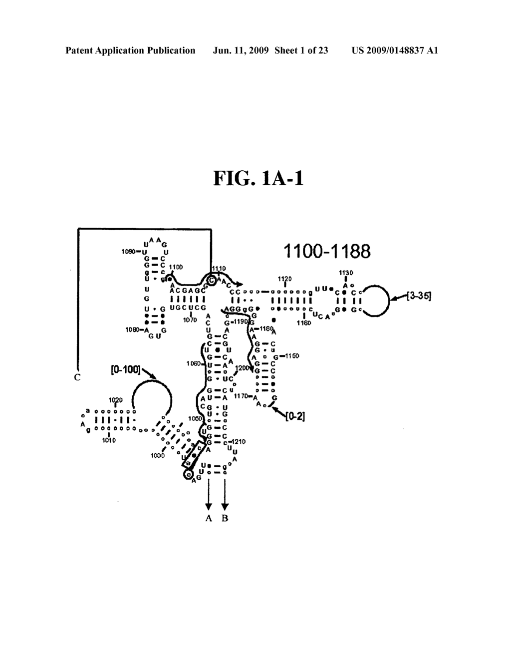 Method for Rapid Detection and Identification of Bioagents - diagram, schematic, and image 02