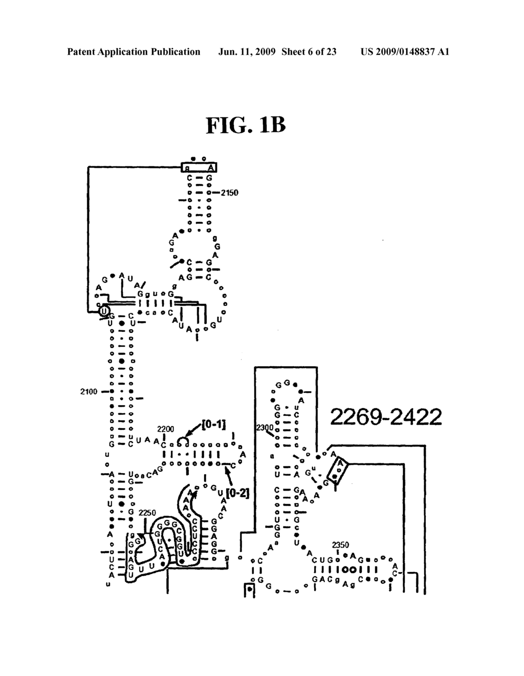 Method for Rapid Detection and Identification of Bioagents - diagram, schematic, and image 07