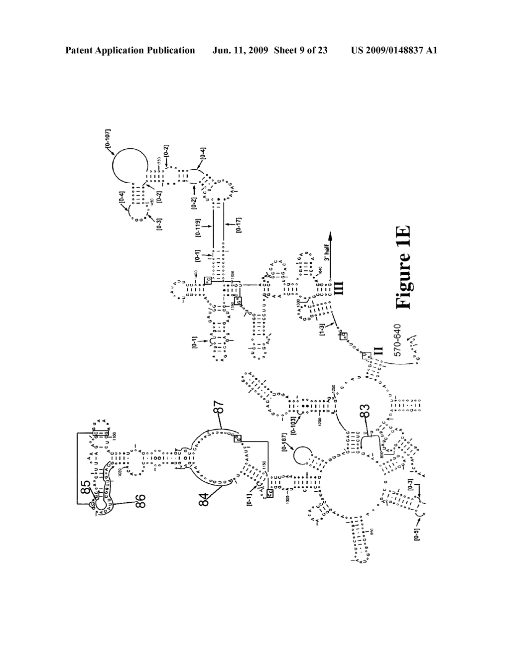 Method for Rapid Detection and Identification of Bioagents - diagram, schematic, and image 10