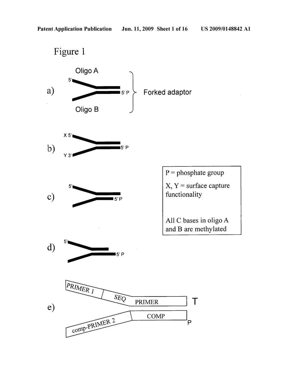 Preparation of templates for methylation analysis - diagram, schematic, and image 02