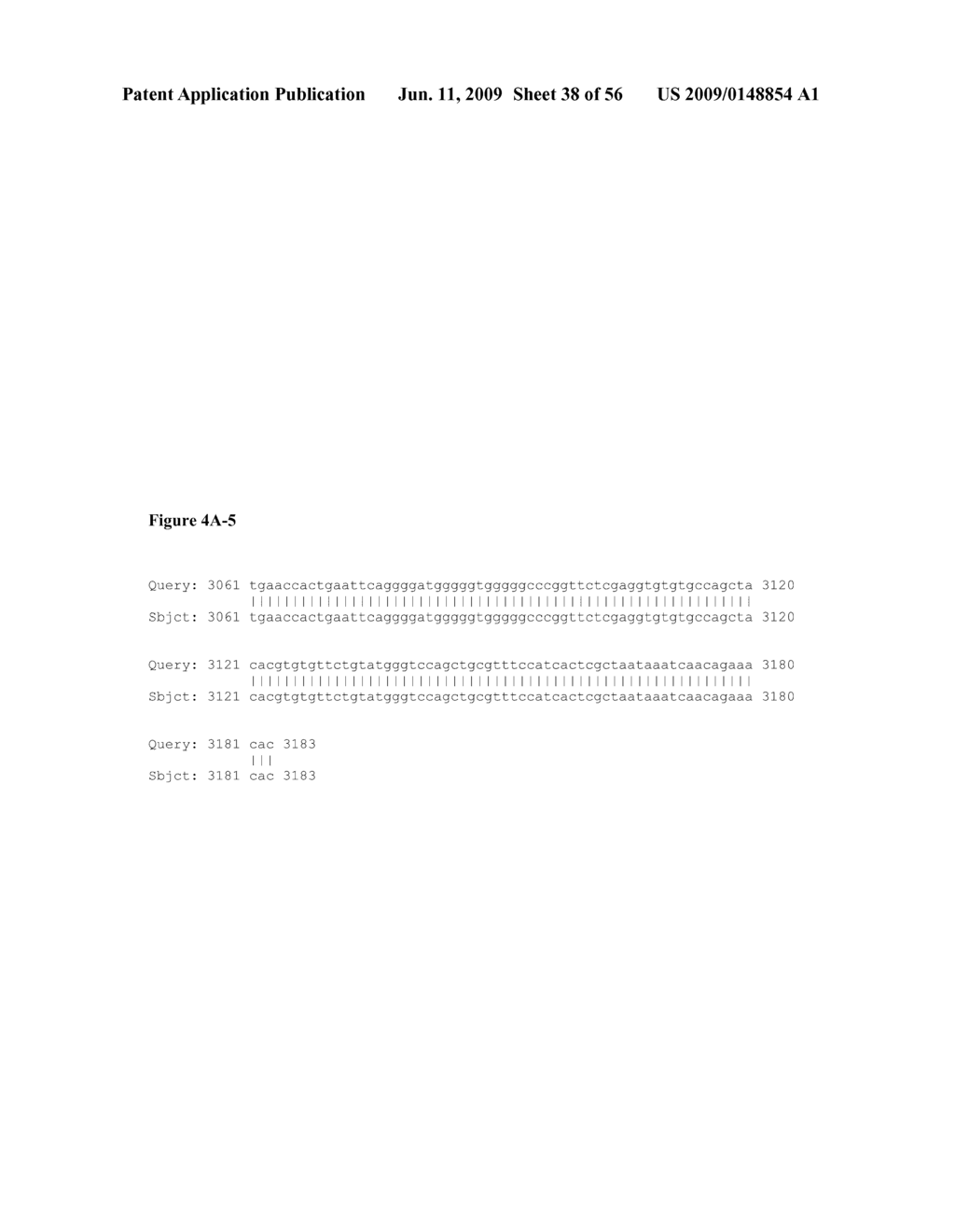 NUCLEIC ACID AND CORRESPONDING PROTEIN ENTITLED 184P1E2 USEFUL IN TREATMENT AND DETECTION OF CANCER - diagram, schematic, and image 39