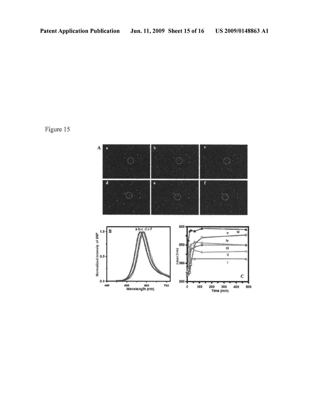 Nanoparticle biosensors - diagram, schematic, and image 16