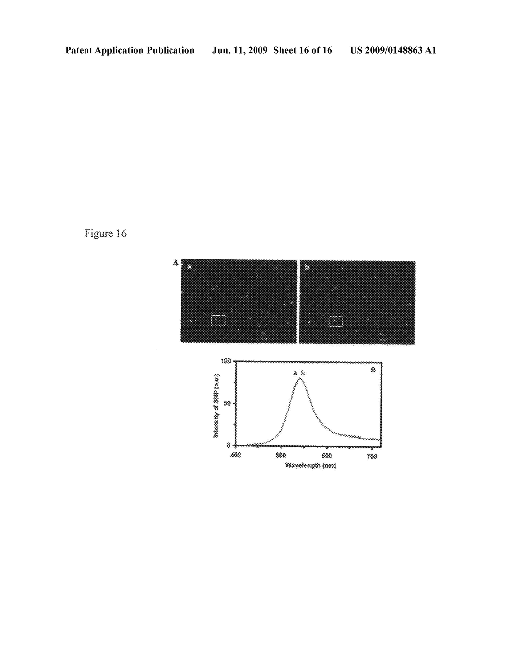 Nanoparticle biosensors - diagram, schematic, and image 17