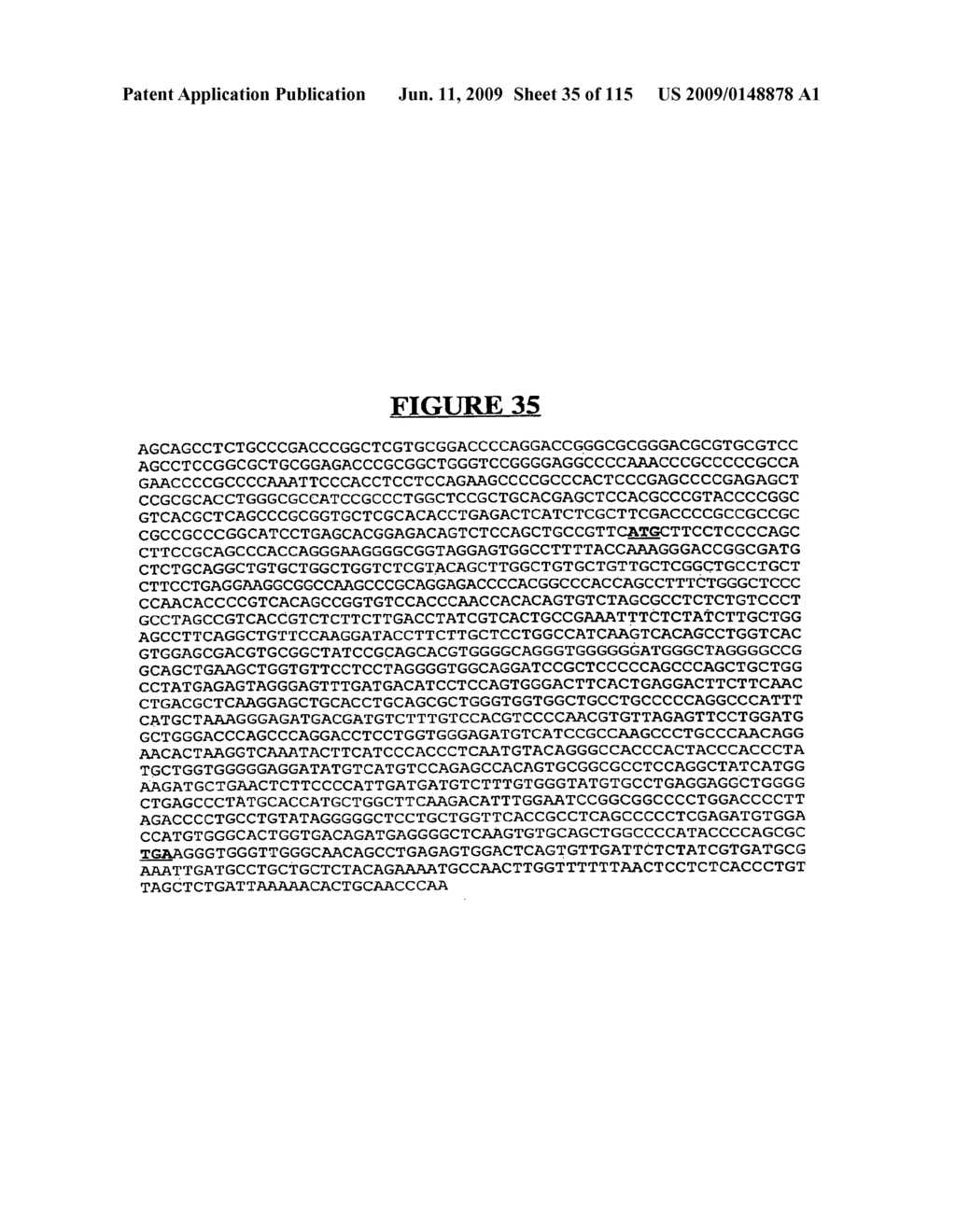 Secreted and transmembrane polypeptides and nucleic acids encoding the same - diagram, schematic, and image 36