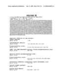 Secreted and transmembrane polypeptides and nucleic acids encoding the same diagram and image