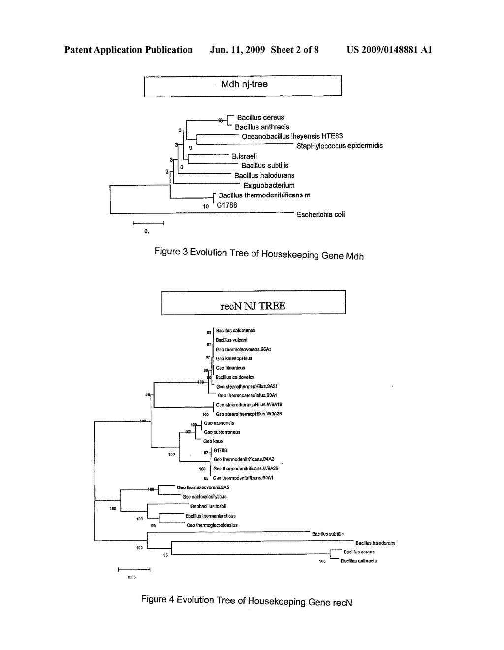 GEOBACILLUS THERMODENITRIFICANS AS WELL AS THE SCREENING METHOD AND THE USES THEREOF - diagram, schematic, and image 03