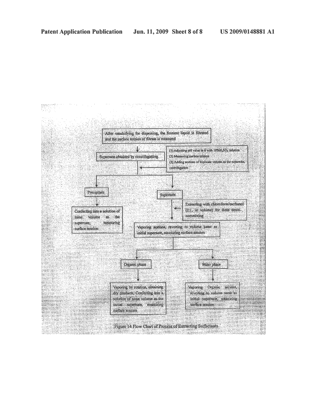 GEOBACILLUS THERMODENITRIFICANS AS WELL AS THE SCREENING METHOD AND THE USES THEREOF - diagram, schematic, and image 09