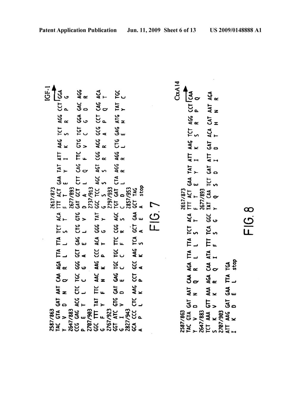 RECOMBINANT TOXIN FRAGMENTS - diagram, schematic, and image 07