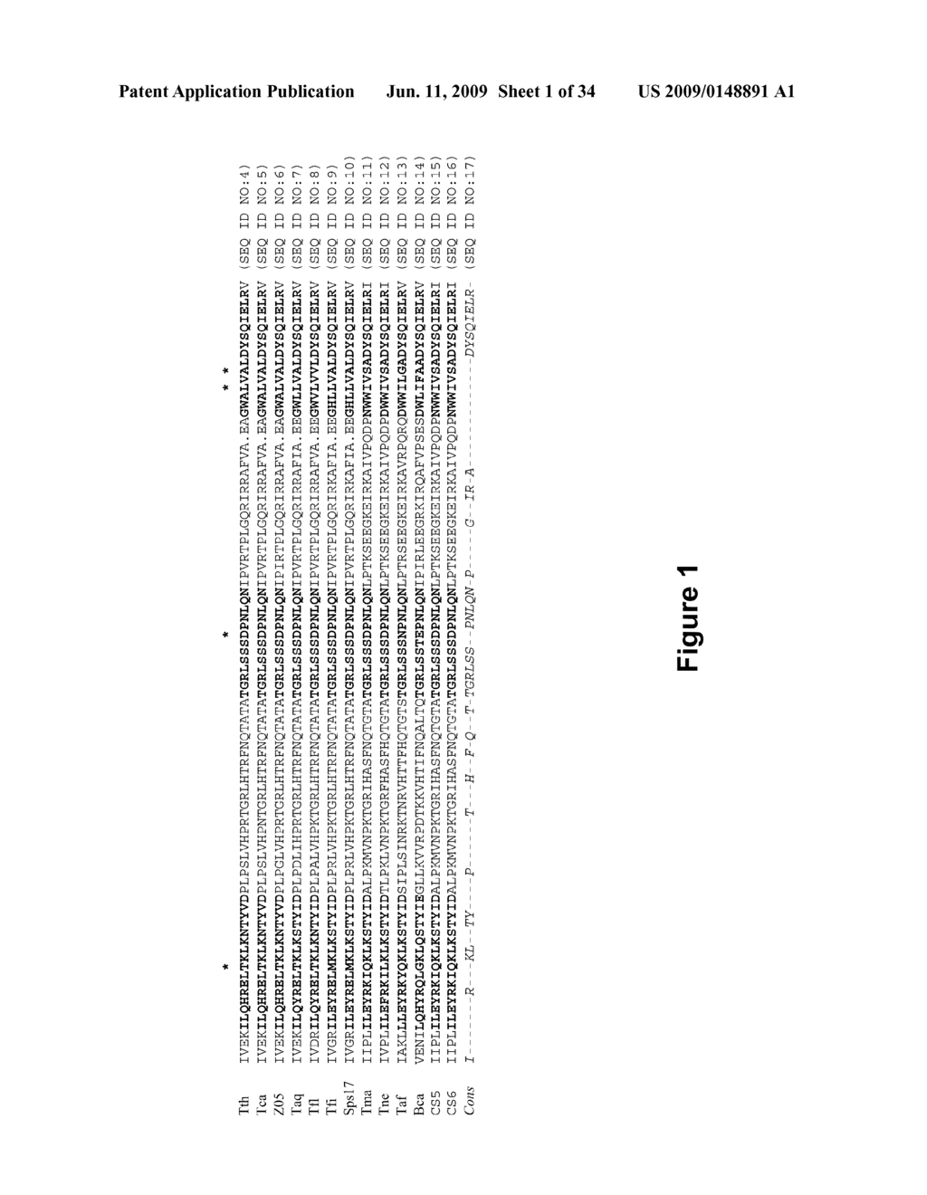 DNA POLYMERASES AND RELATED METHODS - diagram, schematic, and image 02