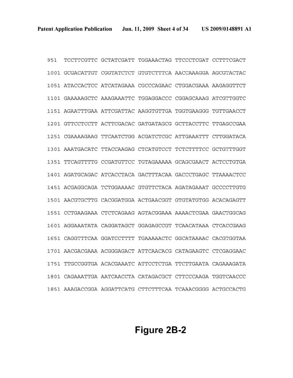 DNA POLYMERASES AND RELATED METHODS - diagram, schematic, and image 05