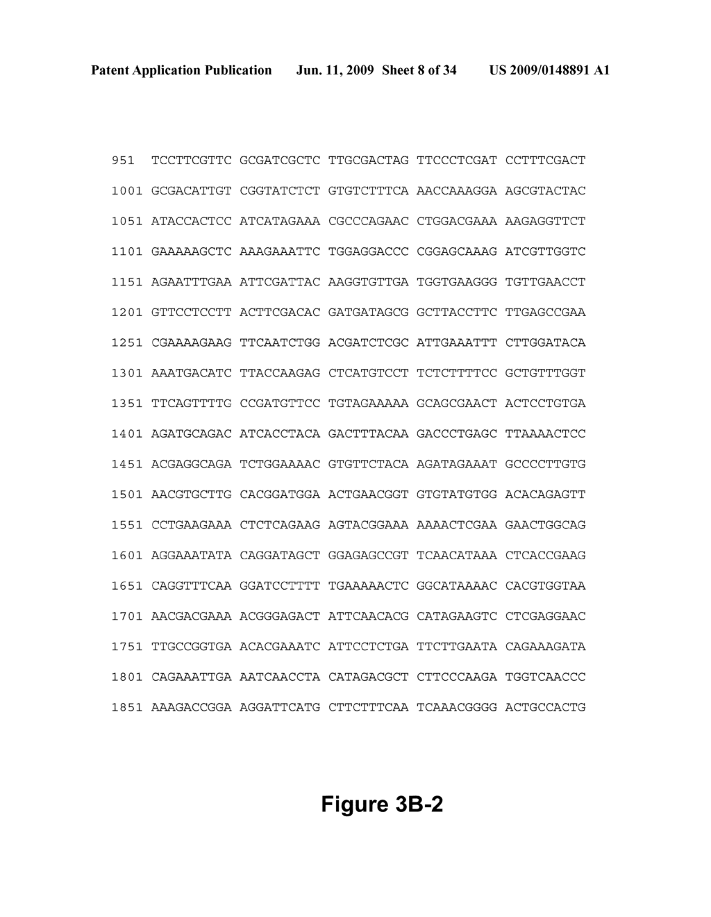 DNA POLYMERASES AND RELATED METHODS - diagram, schematic, and image 09