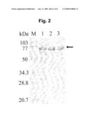 Hyperthermophilic DNA Polymerase and Methods of Preparation Thereof diagram and image