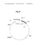 Hyperthermophilic DNA Polymerase and Methods of Preparation Thereof diagram and image