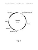 Polypeptides having xylanase activity and polynucleotides encoding same diagram and image