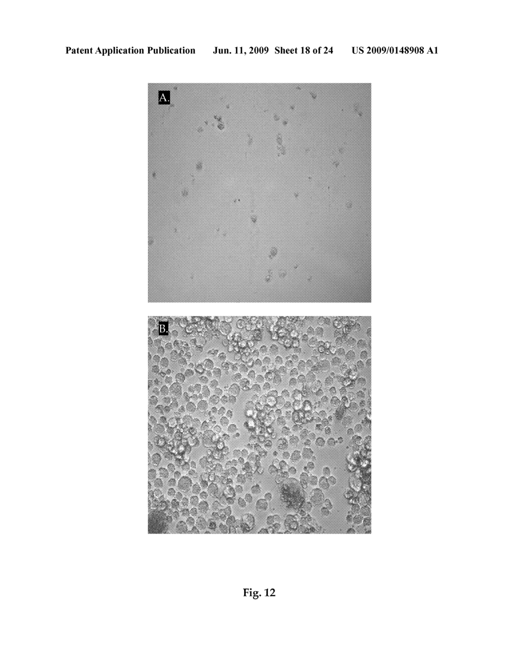 COMPOSITIONS AND METHODS FOR GENERATING ANTIBODIES - diagram, schematic, and image 19