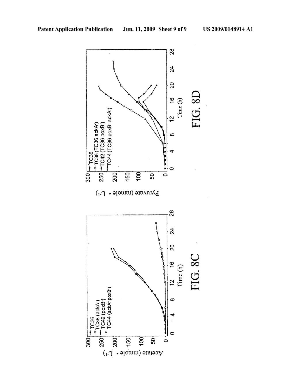 MATERIALS AND METHODS FOR THE EFFICIENT PRODUCTION OF ACETATE AND OTHER PRODUCTS - diagram, schematic, and image 10