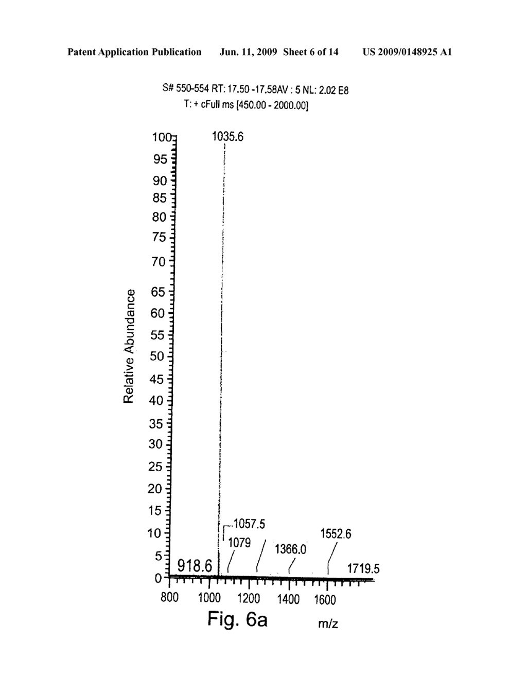 Single chain class I major histocompatibility complexes - diagram, schematic, and image 07