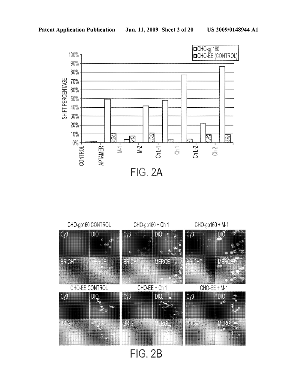 CELL-TYPE SPECIFIC APTAMER-siRNA DELIVERY SYSTEM FOR HIV-1 THERAPY - diagram, schematic, and image 03