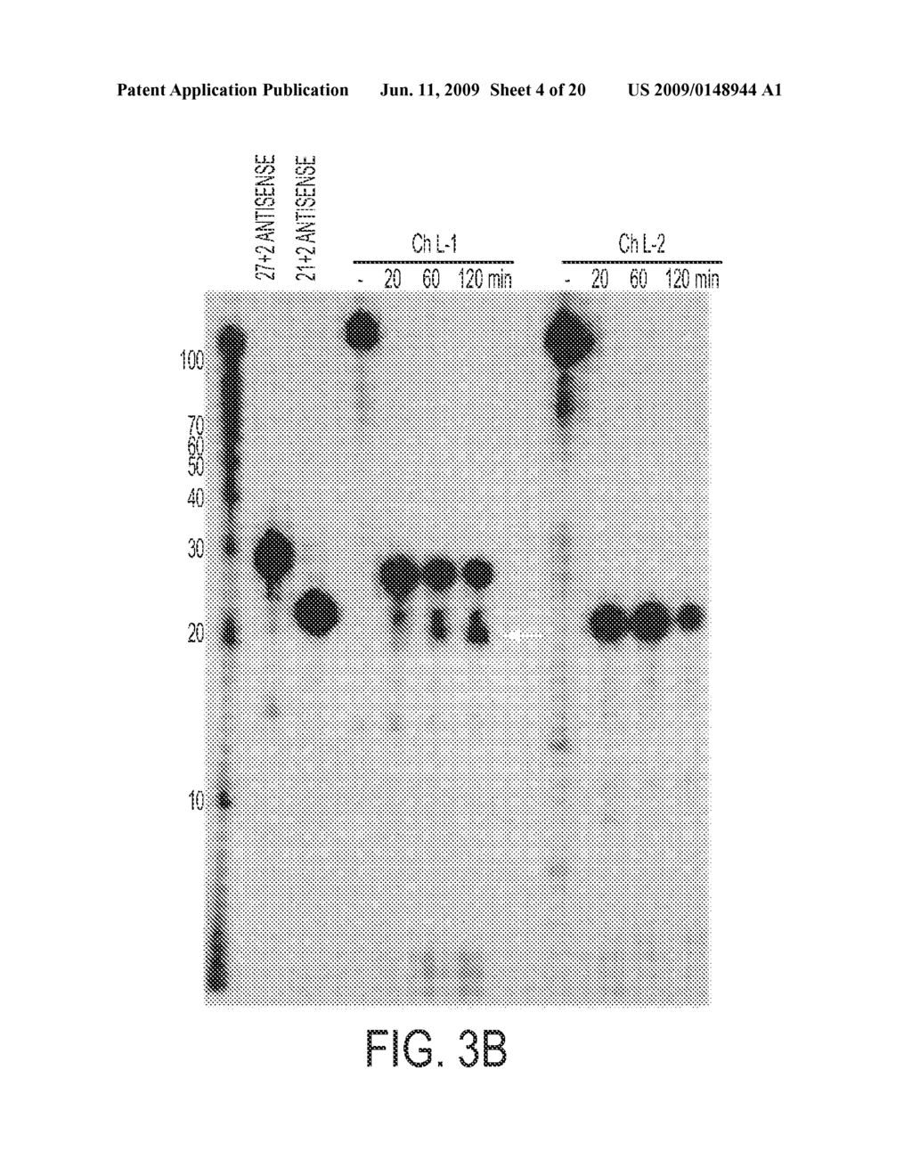 CELL-TYPE SPECIFIC APTAMER-siRNA DELIVERY SYSTEM FOR HIV-1 THERAPY - diagram, schematic, and image 05