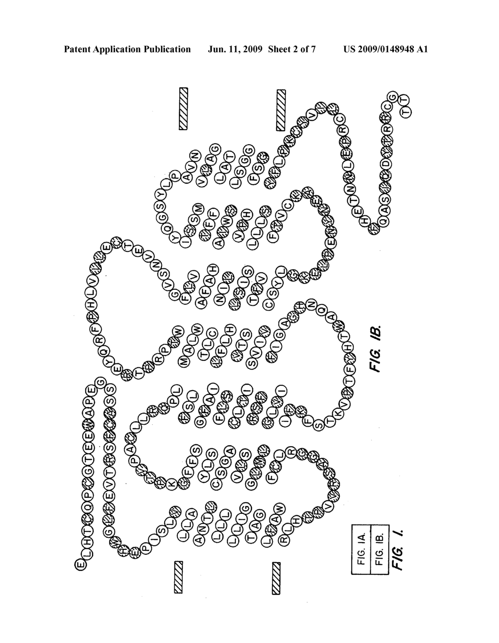 NUCLEIC ACIDS ENCODING A G-PROTEIN COUPLED RECEPTOR INVOLVED IN TASTE TRANSDUCTION - diagram, schematic, and image 03