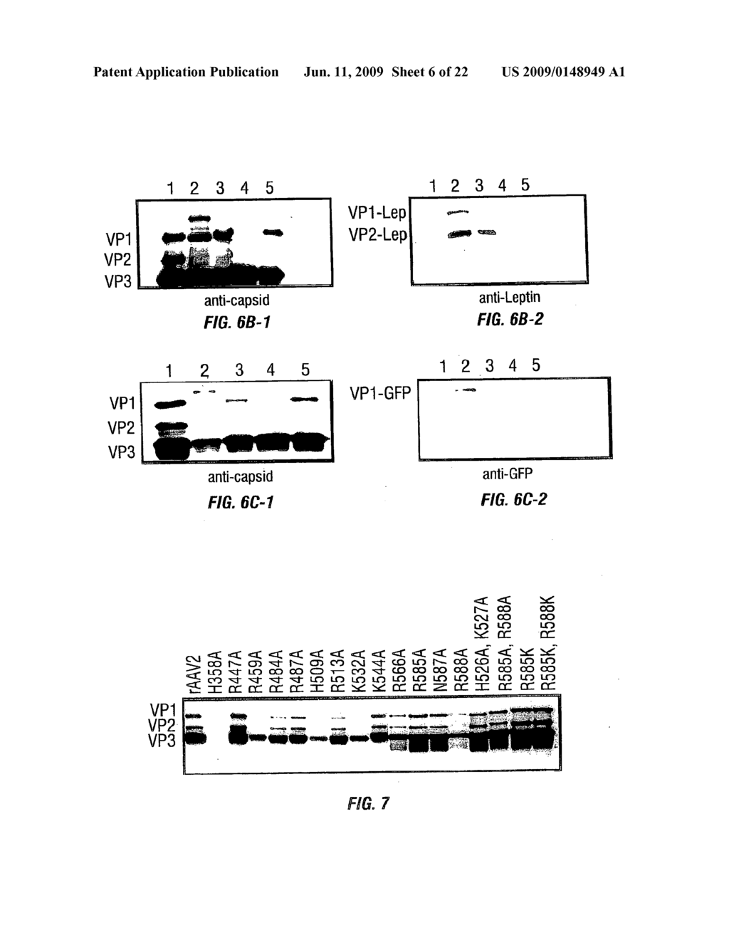 rAAV Expression Systems and Methods of Use - diagram, schematic, and image 07