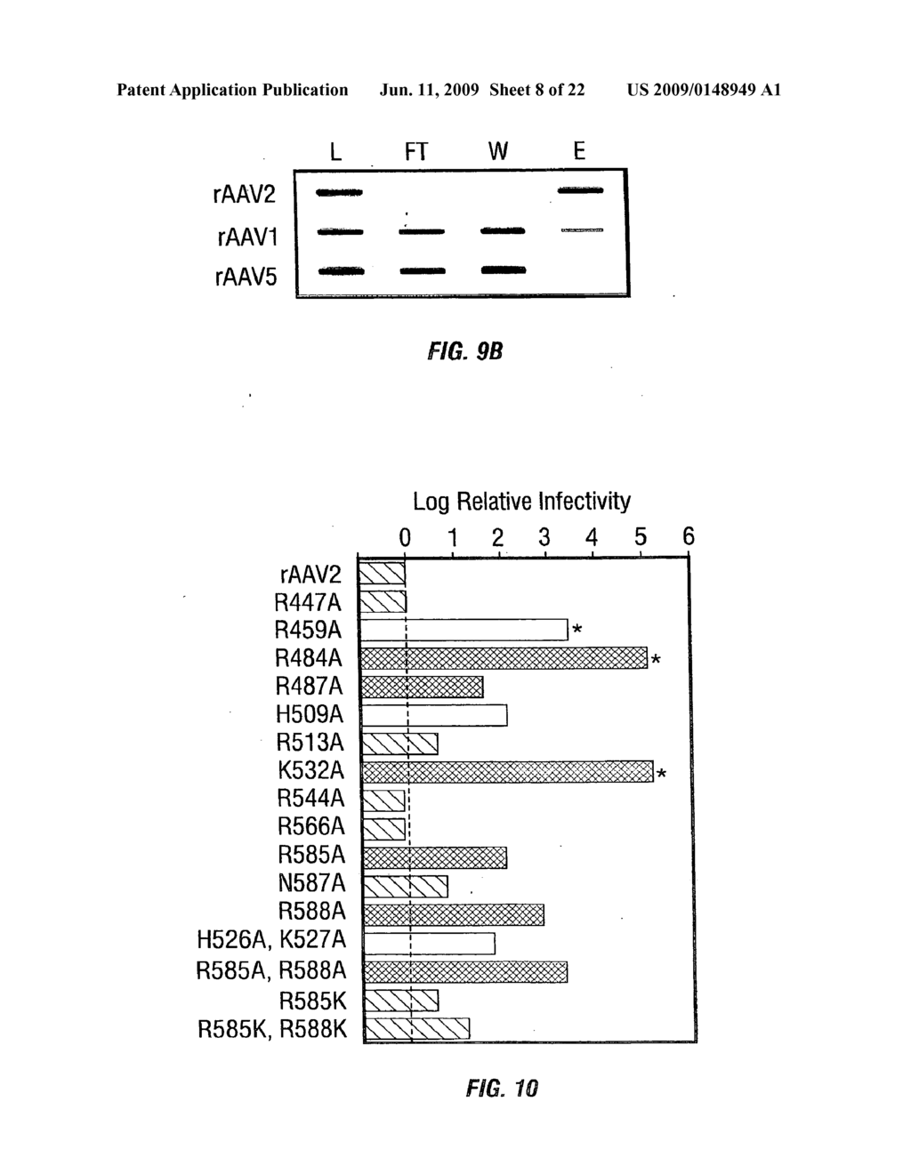 rAAV Expression Systems and Methods of Use - diagram, schematic, and image 09