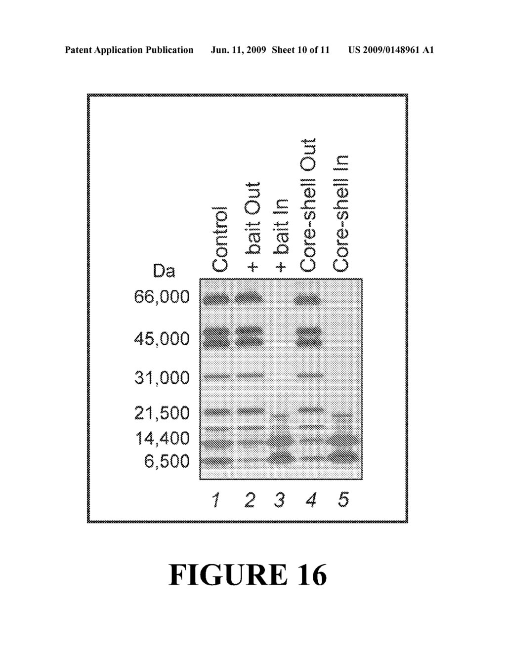 SMART HYDROGEL PARTICLES FOR BIOMARKER HARVESTING - diagram, schematic, and image 11