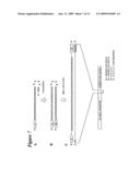 RNA INTERFERENCE MEDIATED TREATMENT OF ALZHEIMER S DISEASE USING SHORT INTERFERING NUCLEIC ACID (siNA) diagram and image