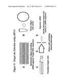 RNA INTERFERENCE MEDIATED TREATMENT OF ALZHEIMER S DISEASE USING SHORT INTERFERING NUCLEIC ACID (siNA) diagram and image