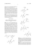 NOVEL PYRROLIDINE BICYCLIC COMPOUNDS AND ITS DERIVATIVES, COMPOSITIONS AND METHODS OF USE diagram and image