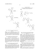 NOVEL PYRROLIDINE BICYCLIC COMPOUNDS AND ITS DERIVATIVES, COMPOSITIONS AND METHODS OF USE diagram and image
