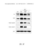 COMPOUNDS AND COMPOSITIONS FOR TREATING NEURONAL DEATH OR NEUROLOGICAL DYSFUNCTION diagram and image