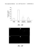 COMPOUNDS AND COMPOSITIONS FOR TREATING NEURONAL DEATH OR NEUROLOGICAL DYSFUNCTION diagram and image