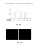 COMPOUNDS AND COMPOSITIONS FOR TREATING NEURONAL DEATH OR NEUROLOGICAL DYSFUNCTION diagram and image