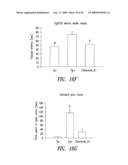 COMPOUNDS AND COMPOSITIONS FOR TREATING NEURONAL DEATH OR NEUROLOGICAL DYSFUNCTION diagram and image