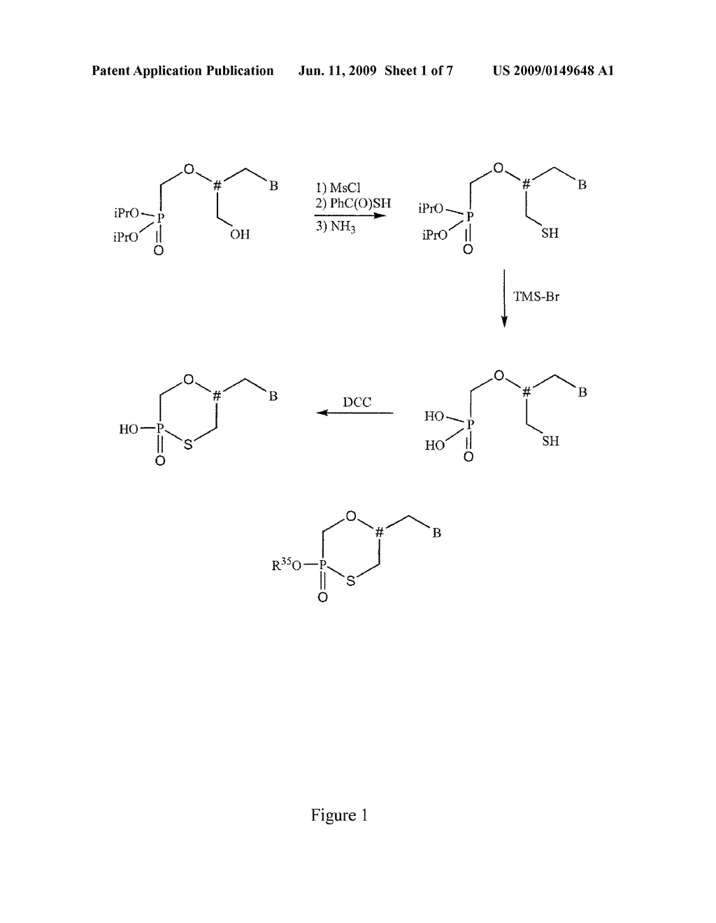 NUCLEOTIDE ANALOGS - diagram, schematic, and image 02