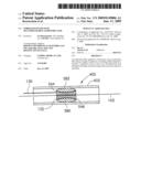 Embolism Filter with Self-Deployable Guidewire Stop diagram and image