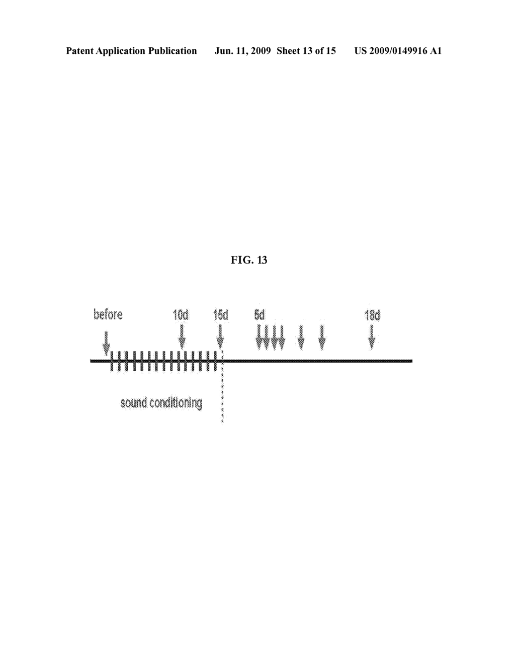 METHOD AND APPARATUS FOR HAIR CELL STIMULATION USING ACOUSTIC SIGNALS - diagram, schematic, and image 14