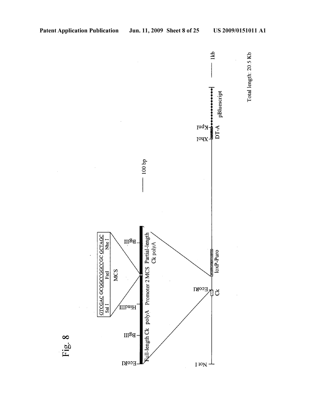 Chimeric Non-Human Animal and Use Thereof - diagram, schematic, and image 09