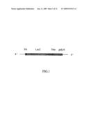 Modified ES cells and ES cell-specific genes diagram and image